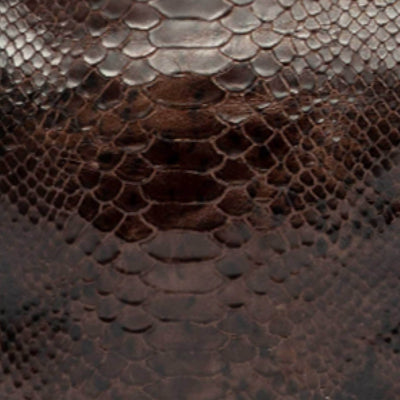 PYTHON LEDER